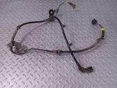 Cableado del sensor ABS trasero