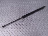 Tailgate/trunk strut/damper