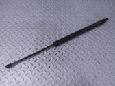 Tailgate/trunk strut/damper