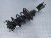Front shock absorber with coil spring