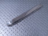 (A) pillar trim