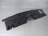 Engine bonnet/hood lock trim molding
