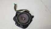 Rear door speaker