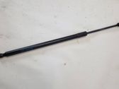 Front bonnet/hood damper/strut