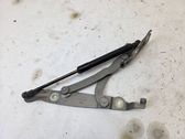 Tailgate/trunk/boot hinge