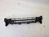 Front bumper lower grill