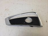 Front fog light trim/grill