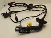 Front door wiring loom