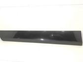 Front door trim (molding)