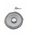 Rear door speaker