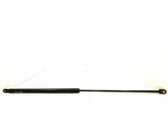 Front bonnet/hood damper/strut