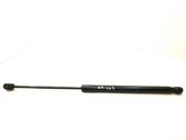 Tailgate/trunk strut/damper