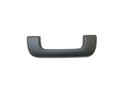 Front interior roof grab handle