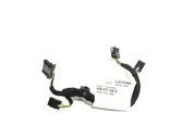 Cableado de puerta trasera