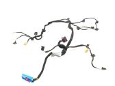 Front door wiring loom