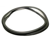 Rear door rubber seal (on body)