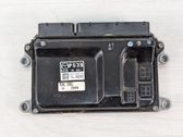 Engine control unit/module ECU