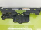 Engine bonnet/hood lock trim molding