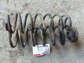 Muelle espiral trasero