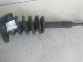Amortiguador delantero con muelle espiral