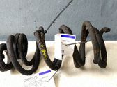 Muelle espiral trasero