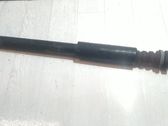 Stoßdämpfer hinten