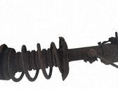 Amortiguador delantero con muelle espiral