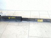 Stoßdämpfer hinten