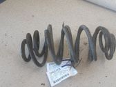 Feder hinten