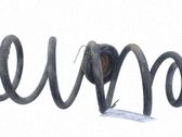 Muelle espiral trasero