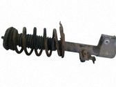 Amortiguador delantero con muelle espiral