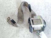 Cinturón trasero