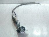 Stellmotor Zentralverriegelung