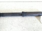 Stoßdämpfer hinten