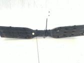 Rejilla delantera