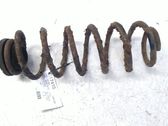 Muelle espiral trasero