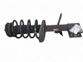 Amortiguador delantero con muelle espiral