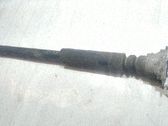 Stoßdämpfer hinten