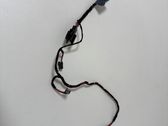 Other wiring loom