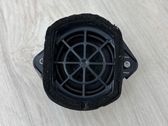 Rear door speaker