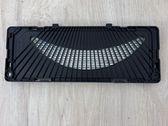 Headliner speaker