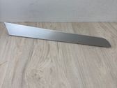 Rear door card trim