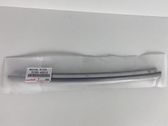 Rear door windshield rail