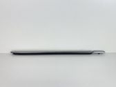 Rear door trim (molding)