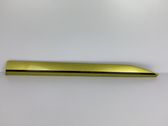 Front door trim (molding)