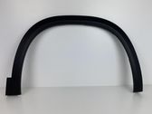 Fender trim (molding)