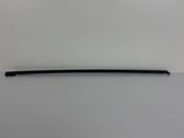 Rear door trim (molding)