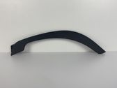 Listón embellecedor de la puerta delantera (moldura)