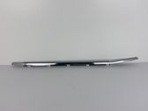 Front door glass trim molding