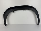 Fender trim (molding)